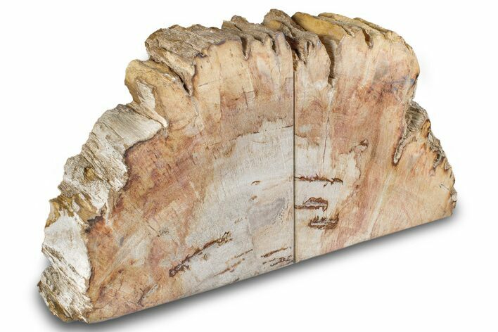 Petrified Wood (Tropical Hardwood) Bookends - Indonesia #266174